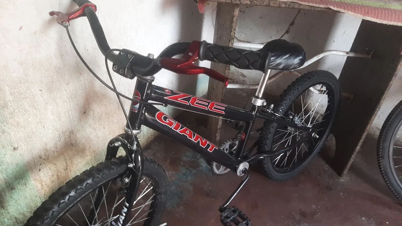 Bicicleta 
