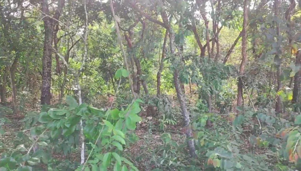 Terreno 1.0 ha - Chácara das mansões