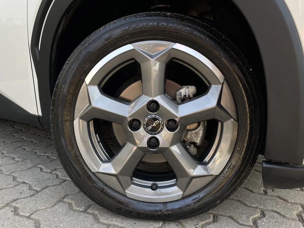 BYD Dolphin EV (Elétrico) 2024 - Foto 4
