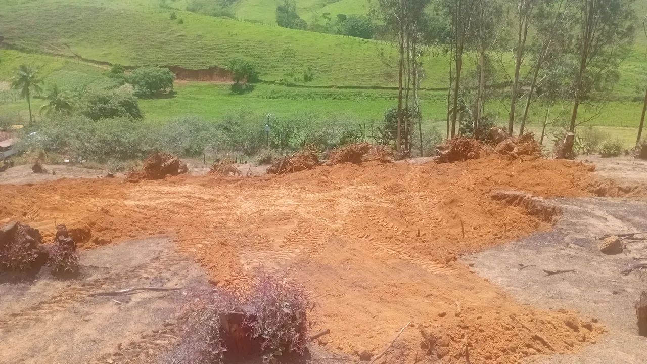 Foto - Leopoldina - Tebas