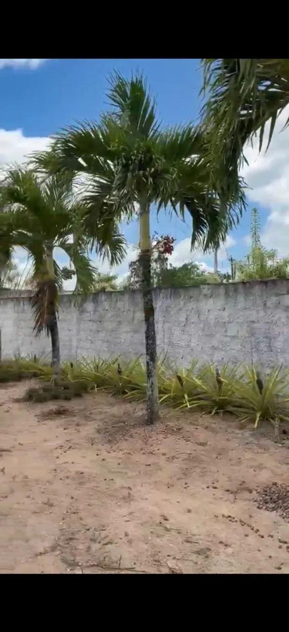 Sítio perfeito  - Foto 3