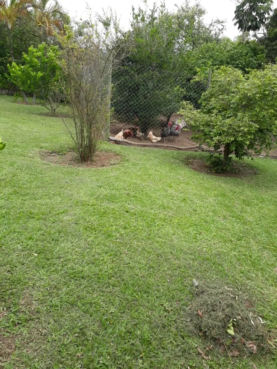 LINDA CHACARA EM PIRAPORA. - Foto 5