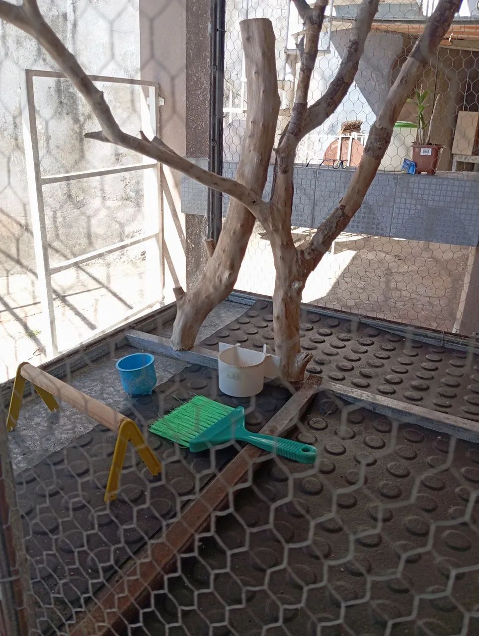 Lindo viveiro com frente em vidro temperado  - Foto 2