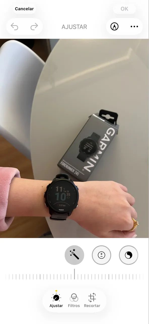 Garmin 245