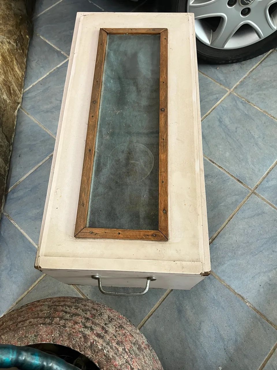 Caixa com tenebrios  - Foto 4