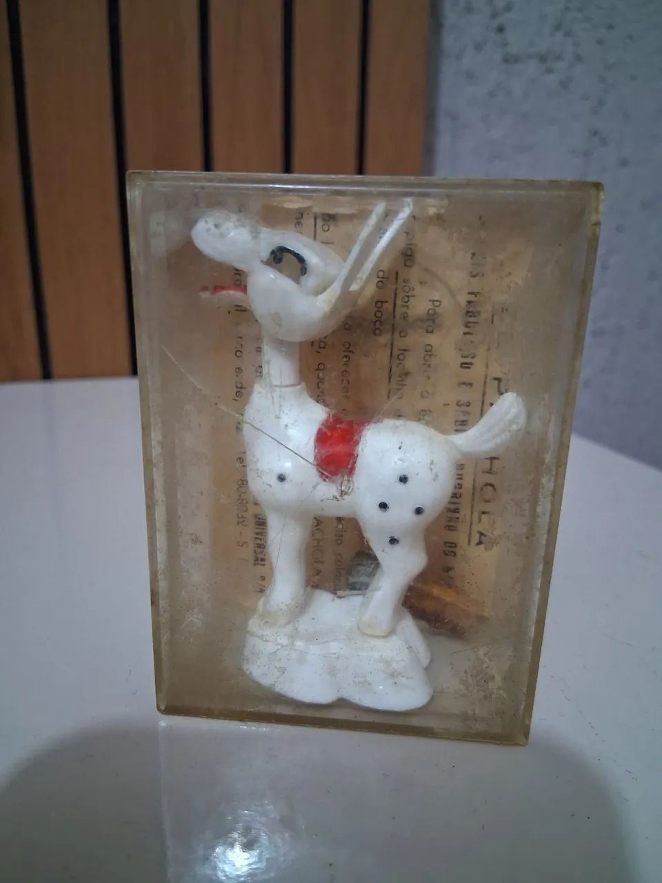 Burrinho Zé Pachola  - Foto 2