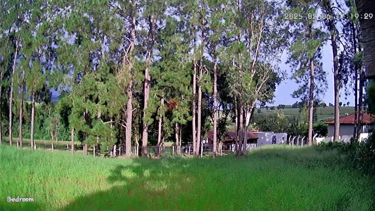 Chácara  à venda em Pardinho. - Foto 2