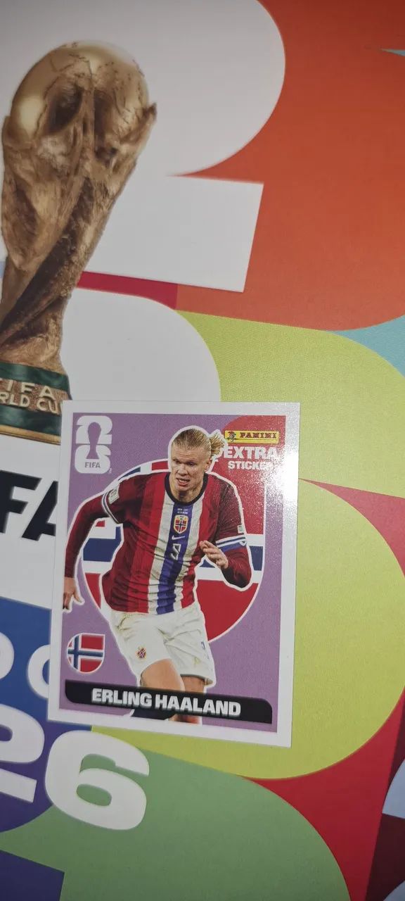 EXTRA STICKER "BORDO" HALLAND - Foto 2