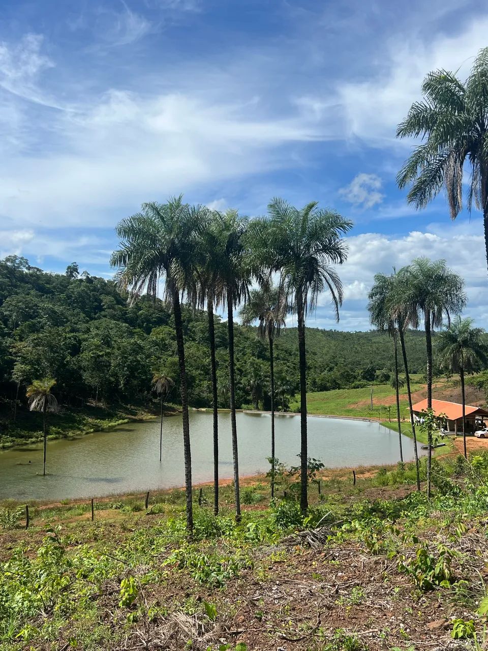 Fazenda 50 alqueires , chácara ou sítio  - Foto 4