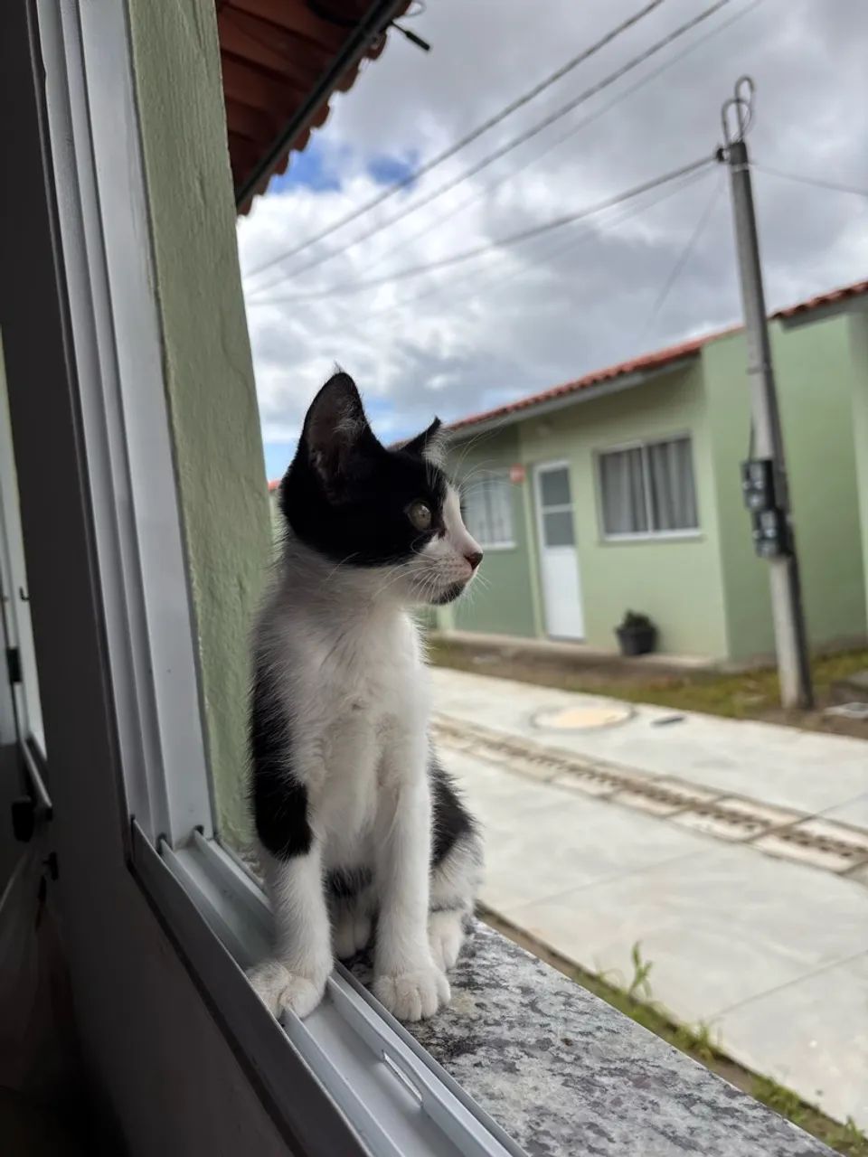 Doação  - Foto 4