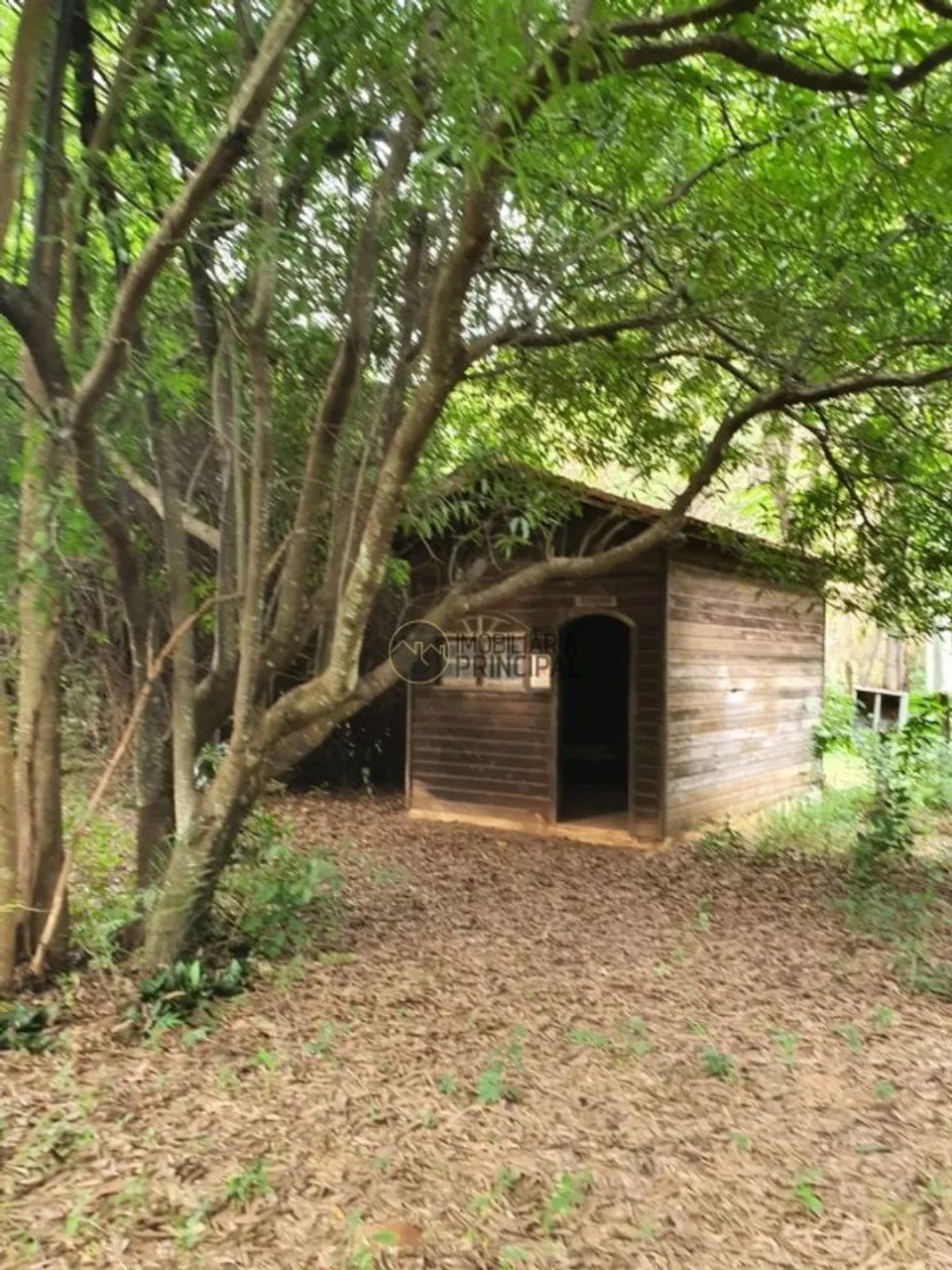 Chácara para venda com 5000 m² e 3 quartos em Chácaras Renno, Piratininga - SP - Foto 2