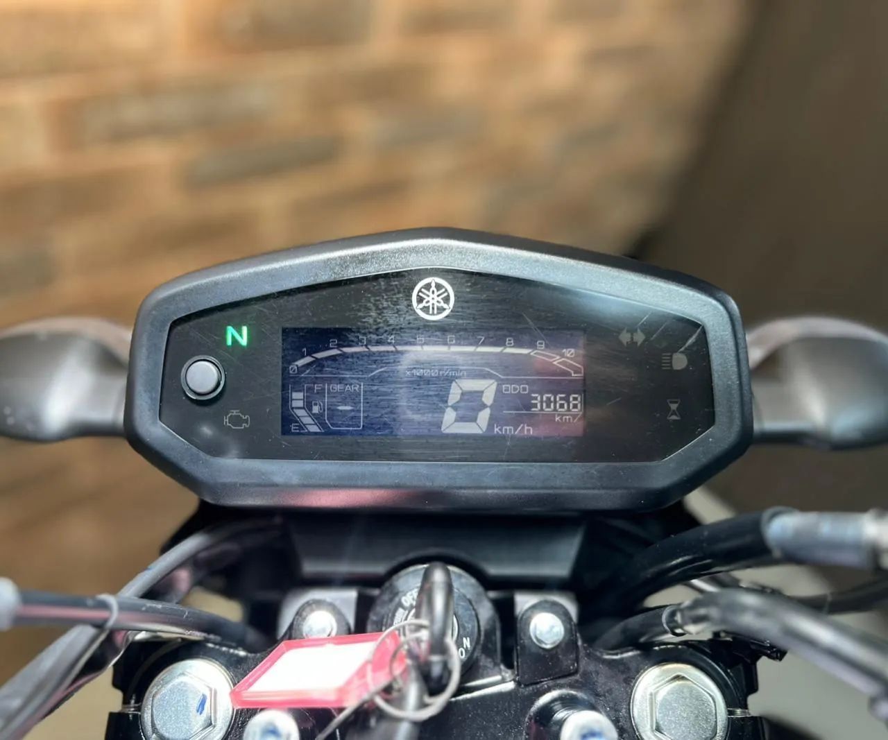 YAMAHA YBR FACTOR 150 ED 2025 - Foto 4
