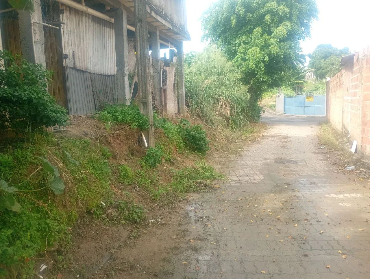 Terreno em Santomé de Paripe - Foto 4
