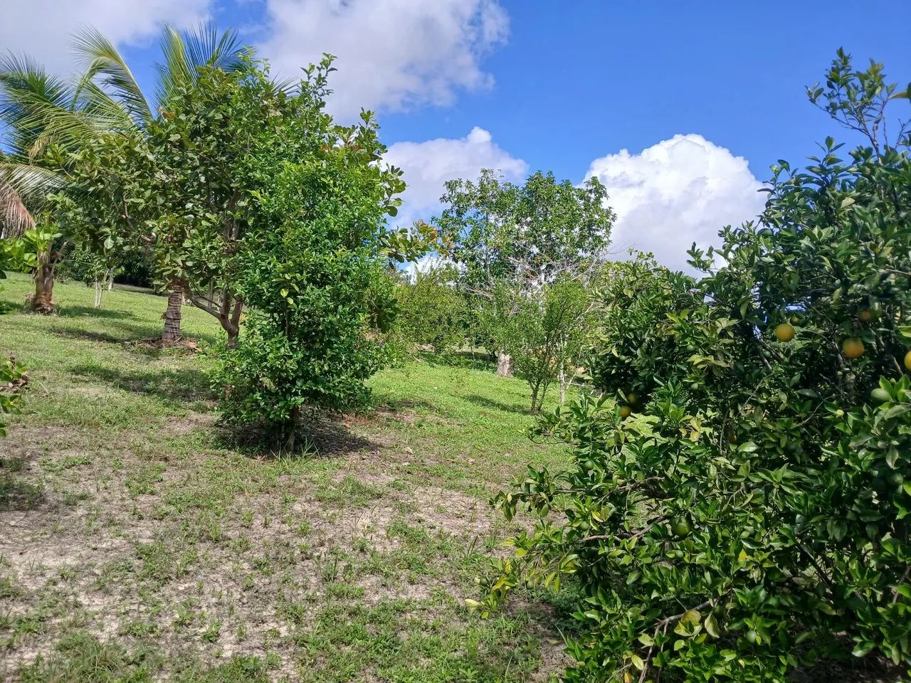 Vendo terreno em Catu Ba. - Foto 5