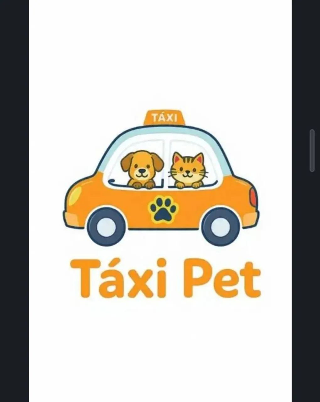 táxi pet 