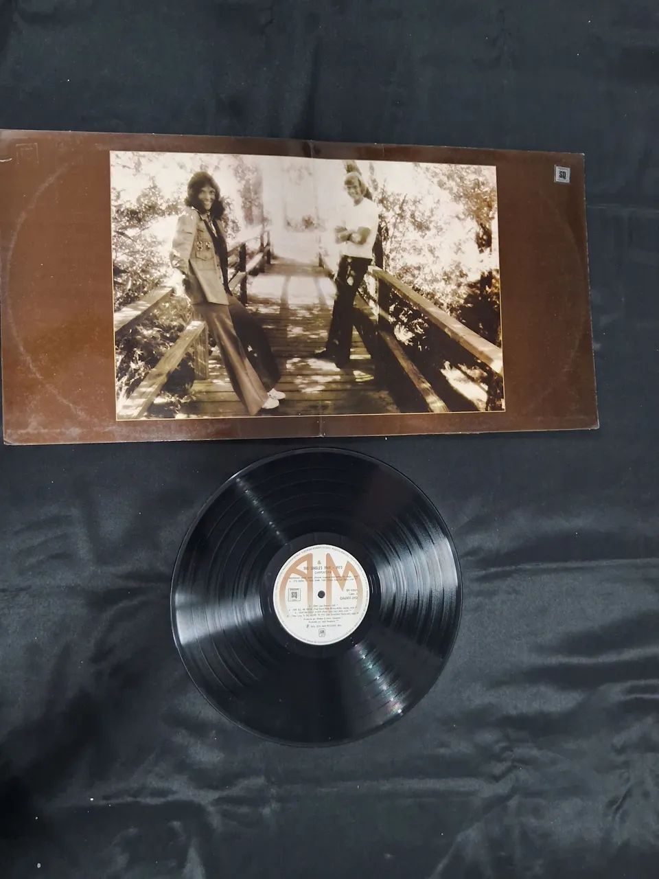 Lp Carpenters The singles  - Foto 3