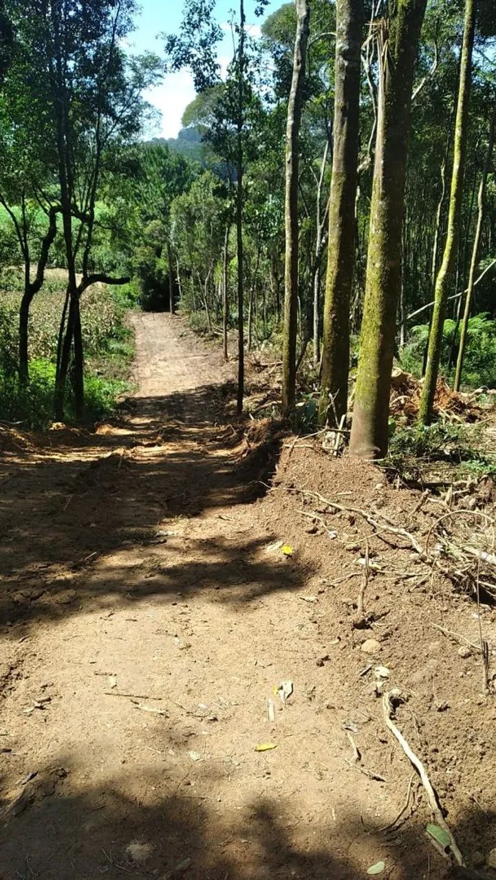 Foto - Mandirituba - Areia Branca dos Assis