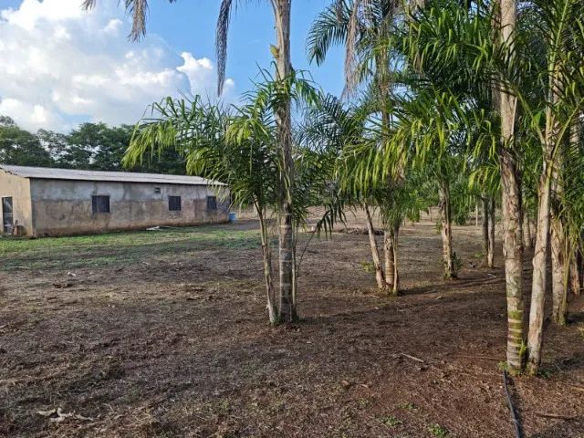 Chacara 5600m2 ramal dos coco - Foto 5