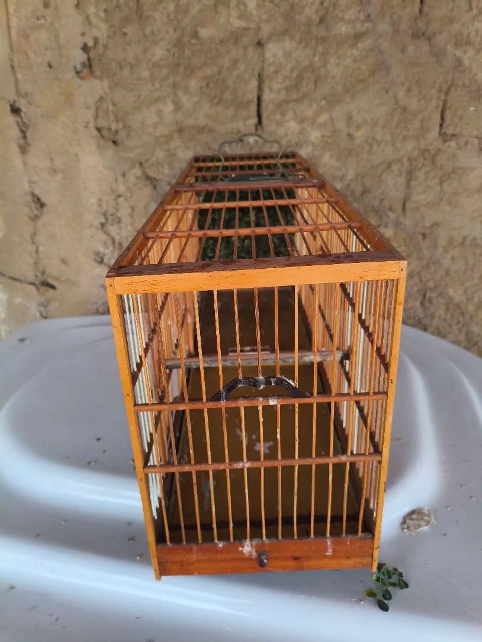 Gaiola  - Foto 2