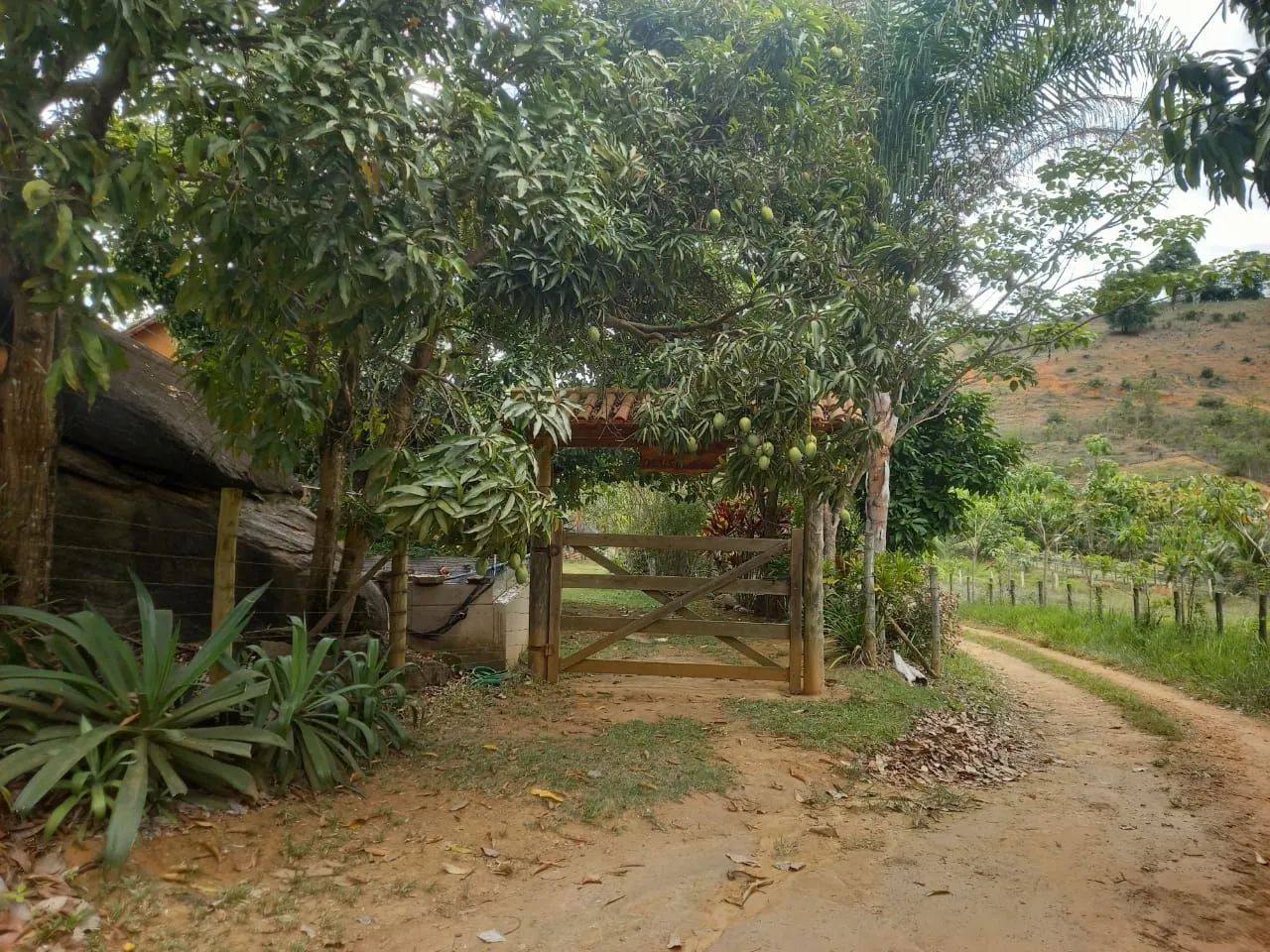 Sitio - Foto 3