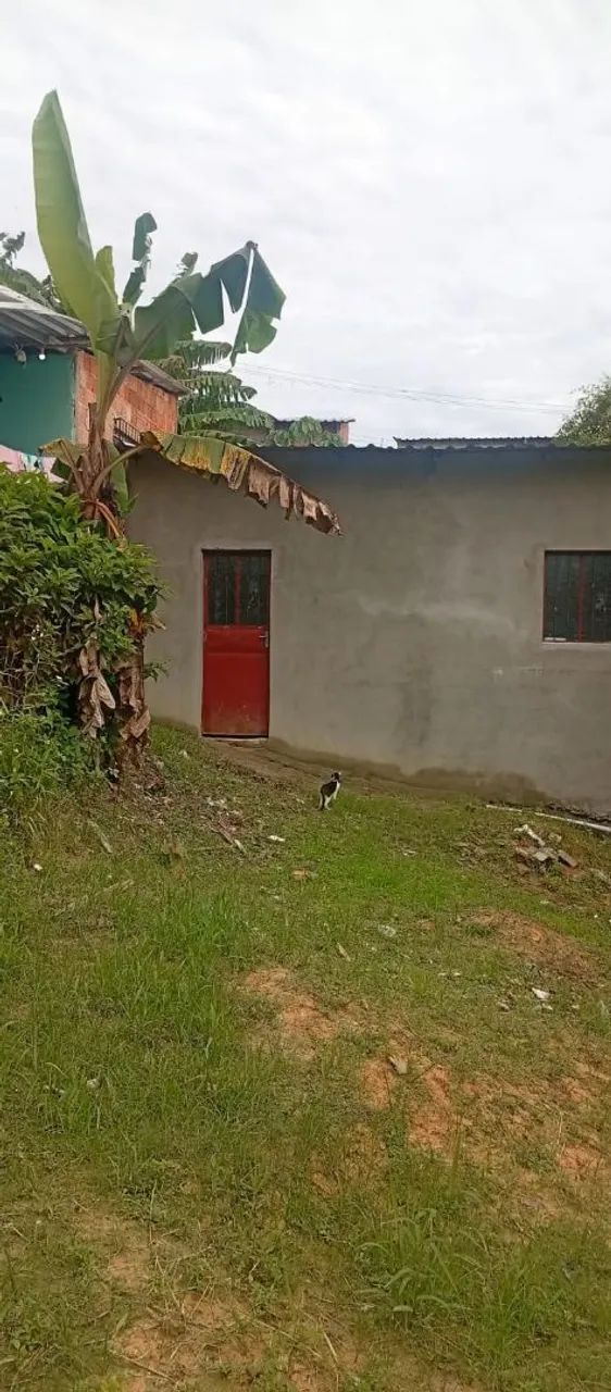 Foto - Manaus - Japiim