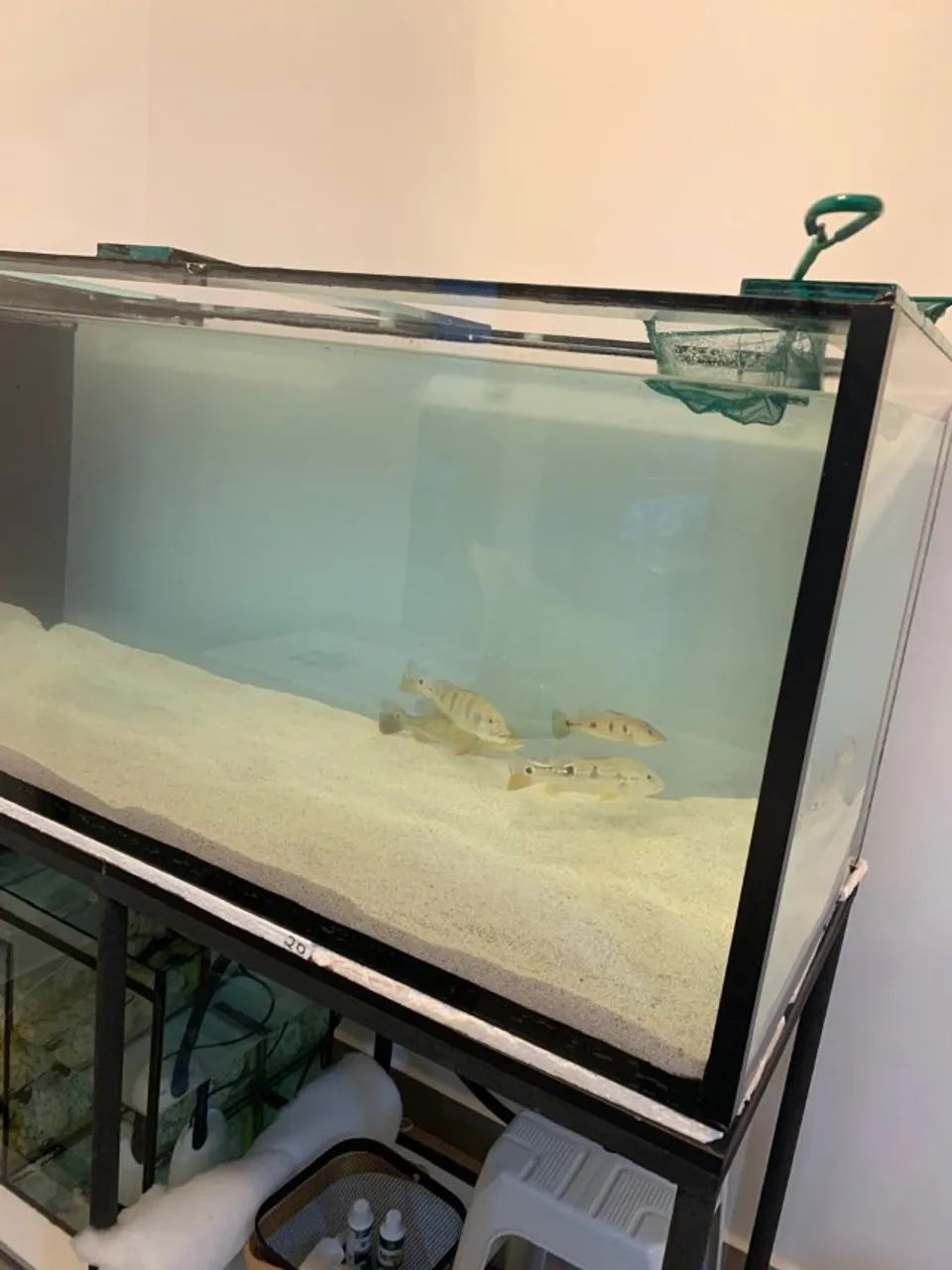 Aquário com Sump (140x62x62cm) - Foto 3
