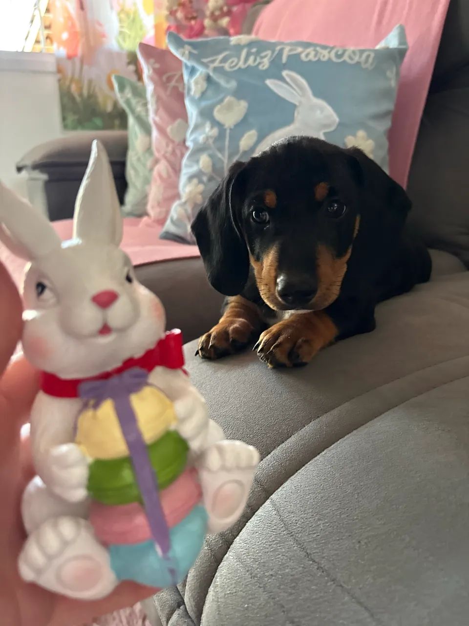 Machinho de linguiçinha