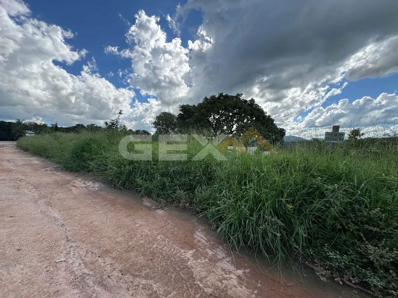 Terreno à Venda com 720m² em Ermida - Foto 4