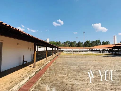 Imóvel Comercial com Amplo Salão de Eventos e preparado para grandes leilões - Foto 5