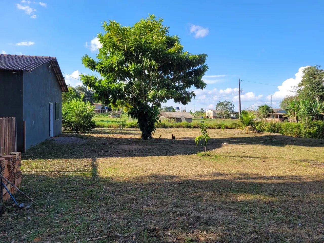 Vendo Chácara com tanque e pomar em Porto Velho/RO - Foto 2