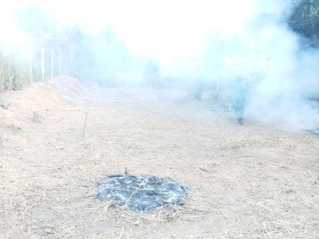  Chácara  - Foto 5