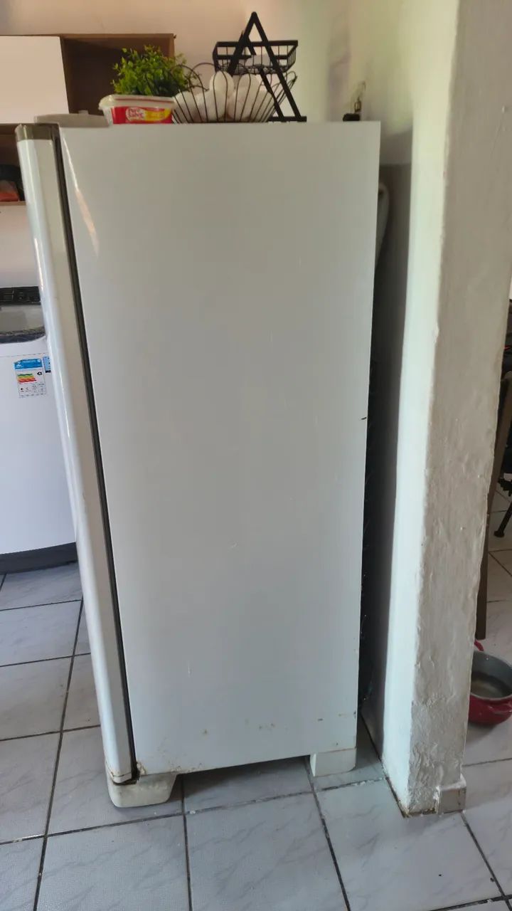 Geladeira 245L - Foto 4