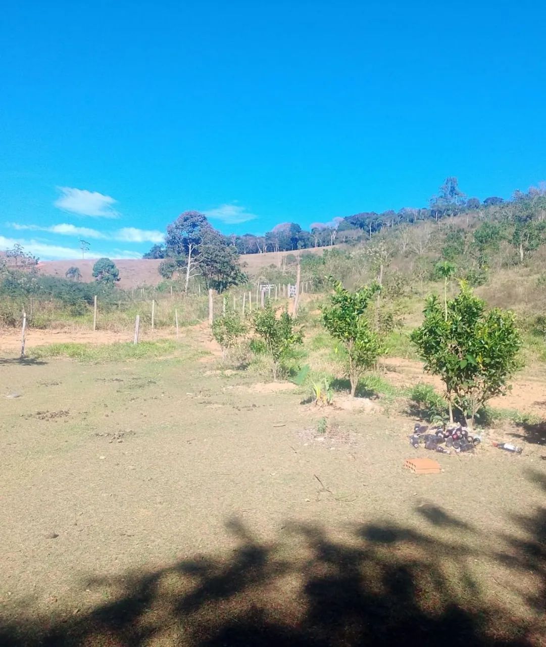 Vendo uma granja - Foto 3