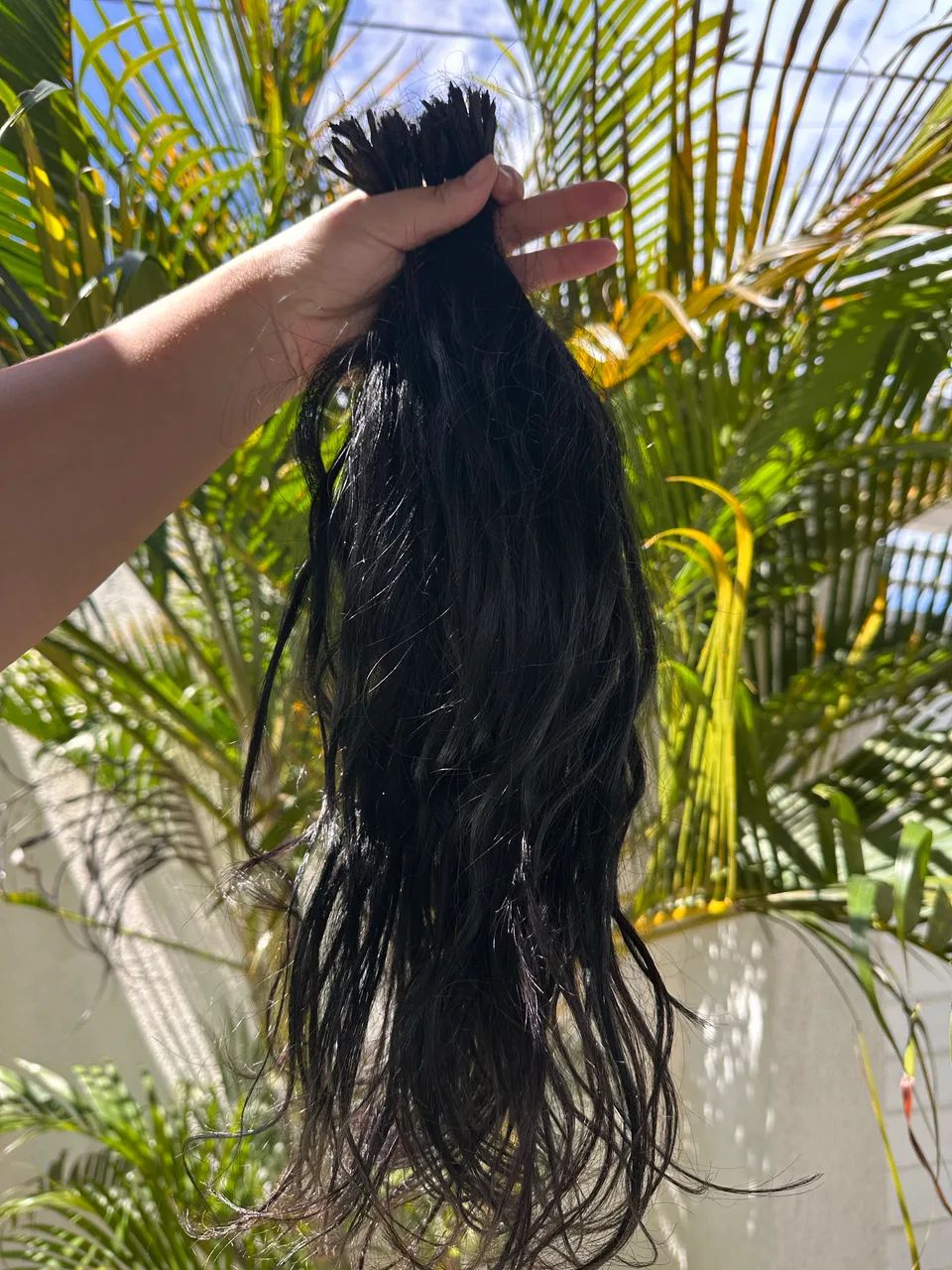 Cabelo