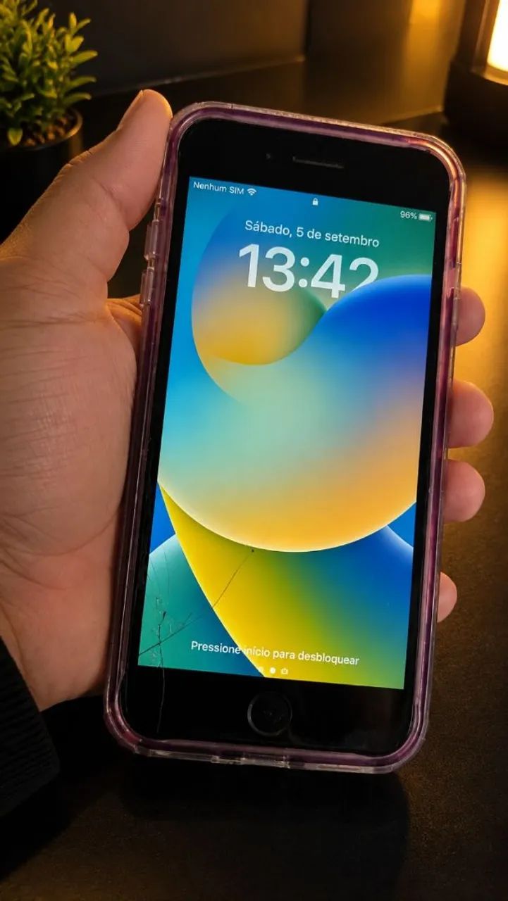 iPhone 8 Plus 100%