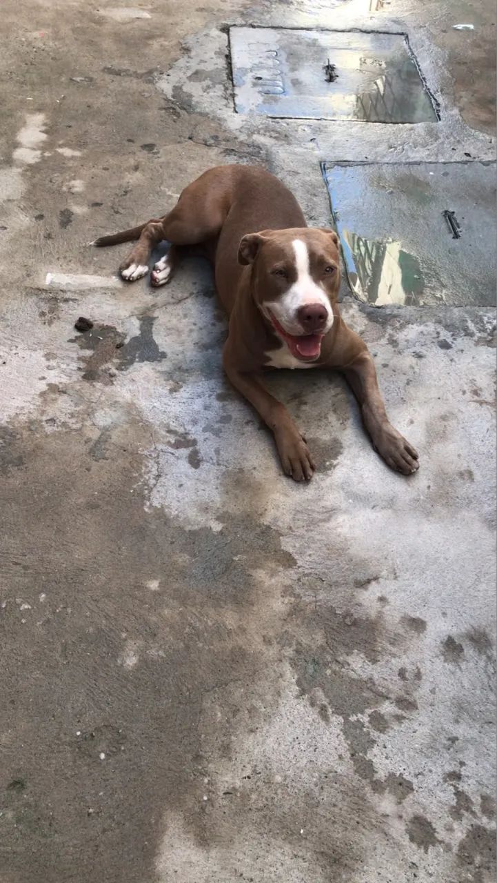 Doação 