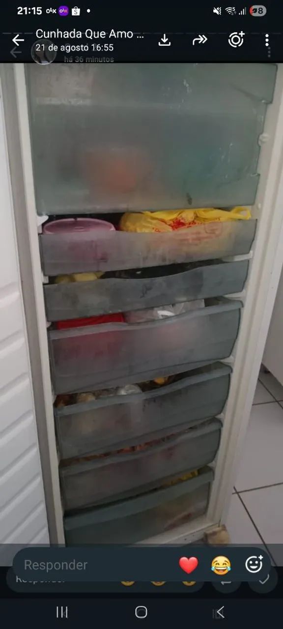 Vendo Frizzer - Foto 2