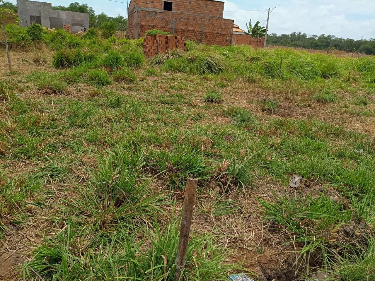Terreno à venda  - Foto 4