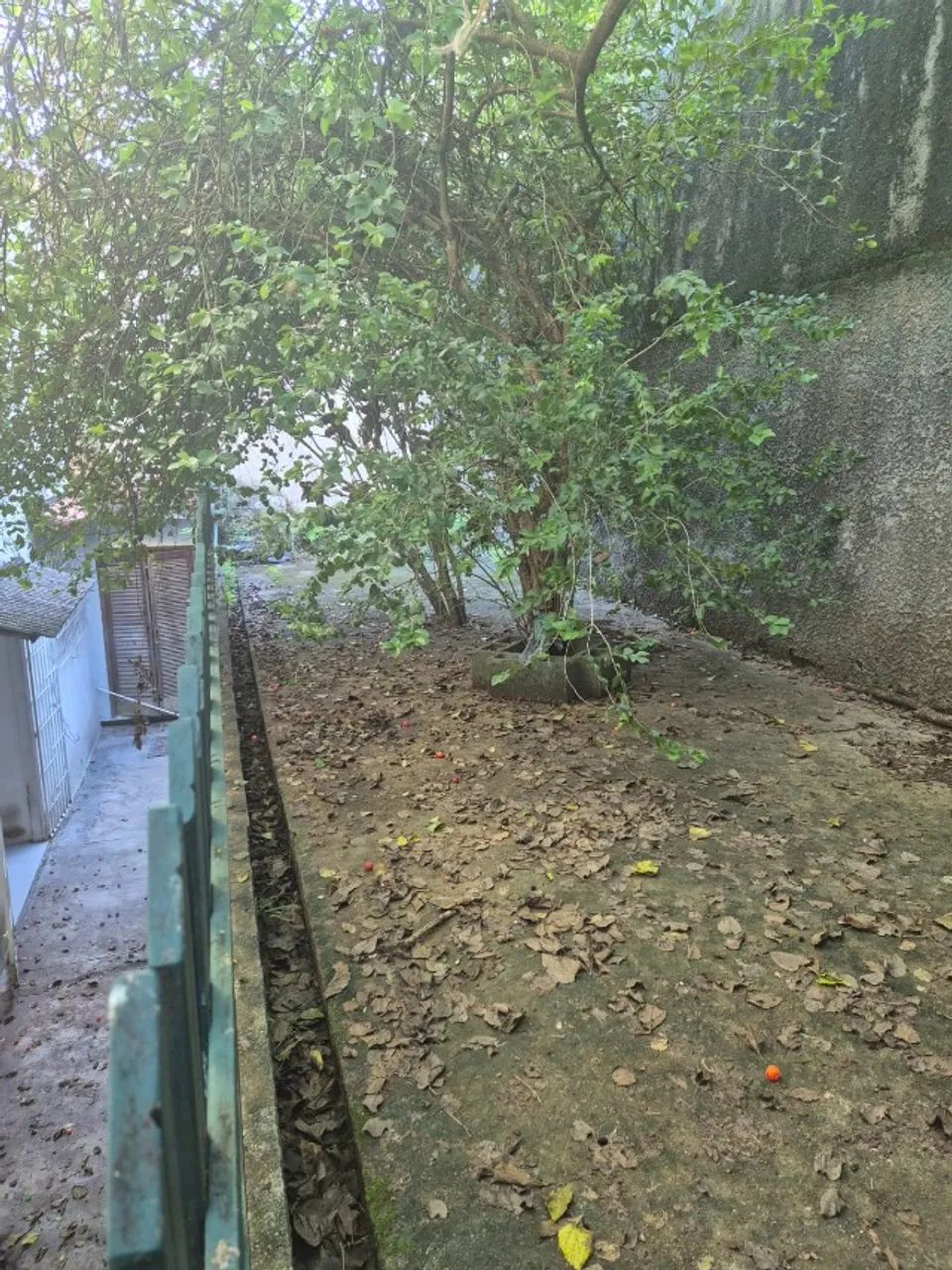 Excelente casa no Jardim Guanabara - Foto 13