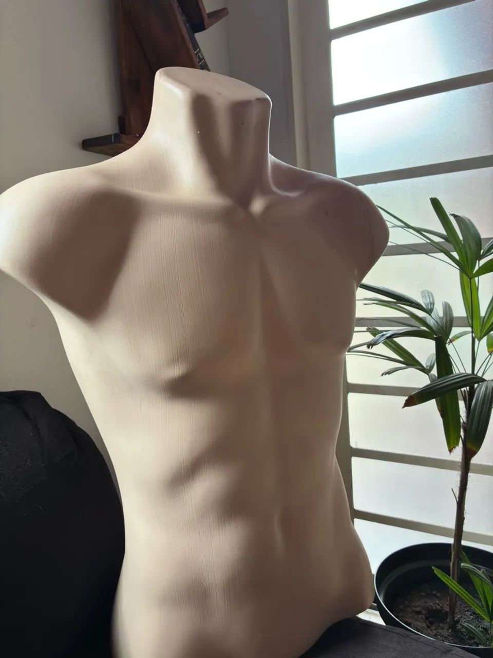 Manequins (Masculino e Feminino)