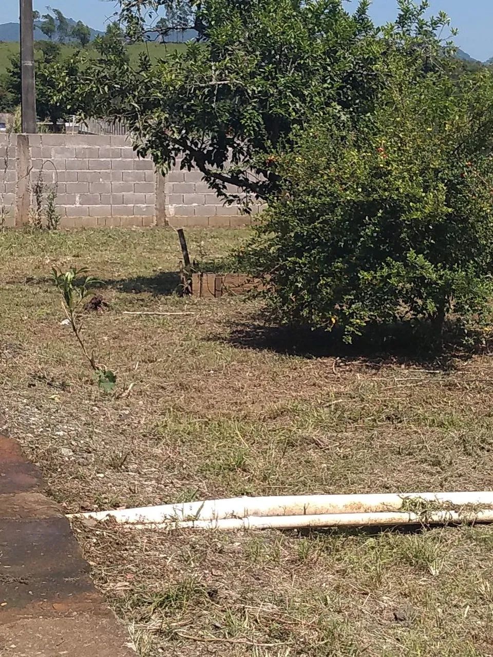Casa a venda - Foto 4