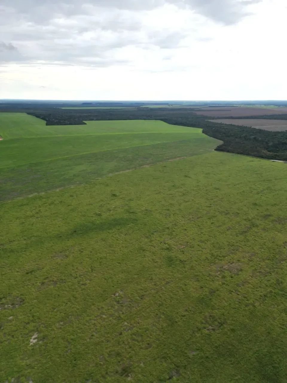 Fazenda a venda, no Tocantins 8 anos para pagar! - Foto 3