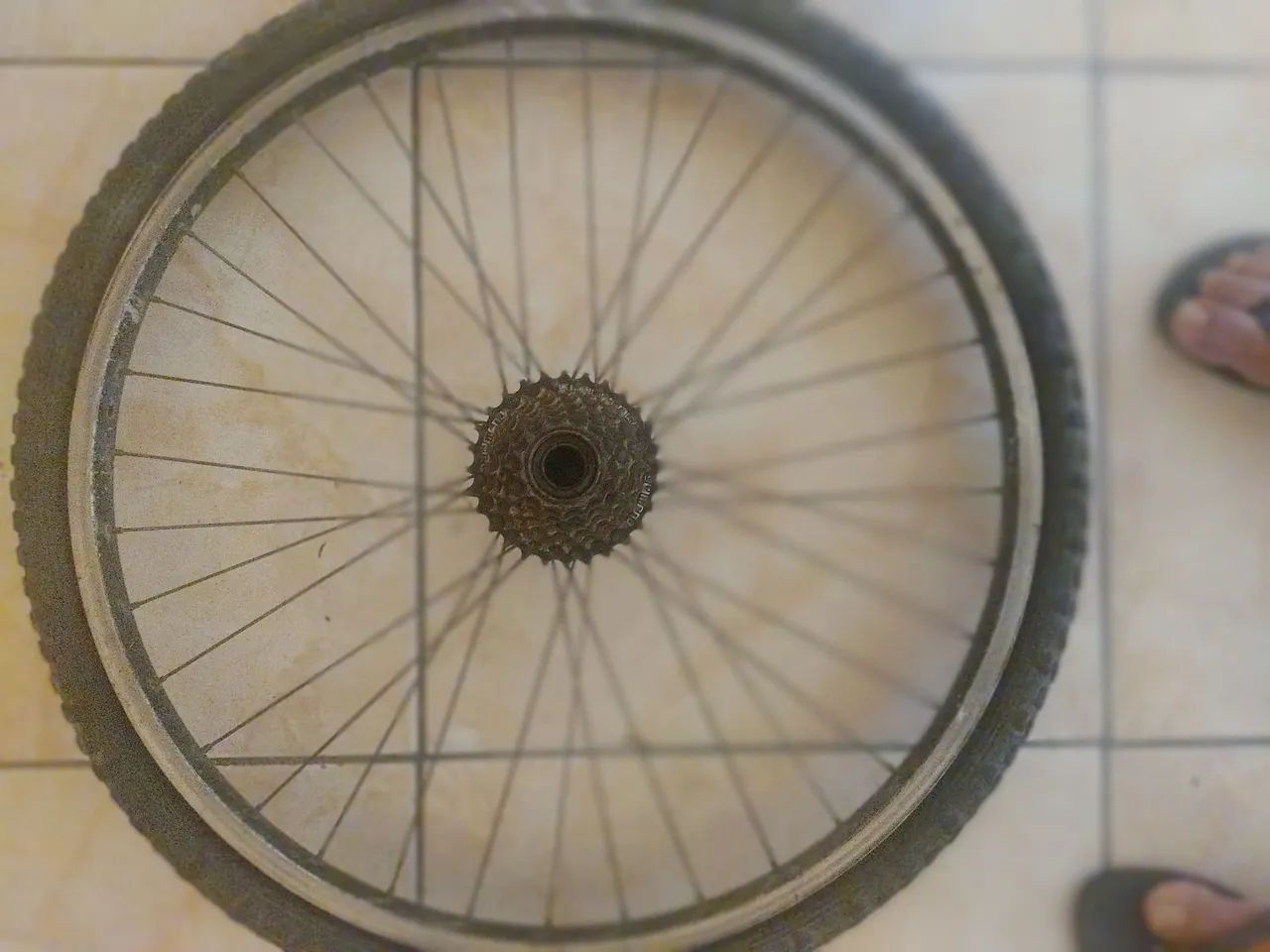 Roda yrazeira6 aro 26 com pião 7 dente Shimano  - Foto 2