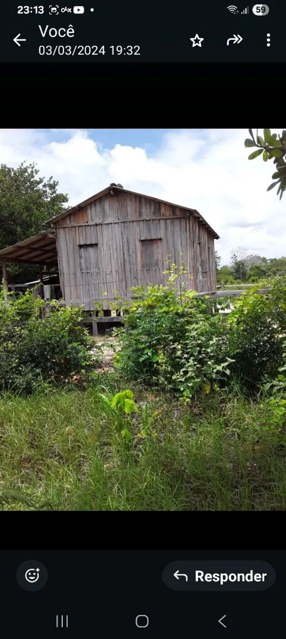 SÍTIO DE 50 HECTARES COM 2 IGARAPÉS. 