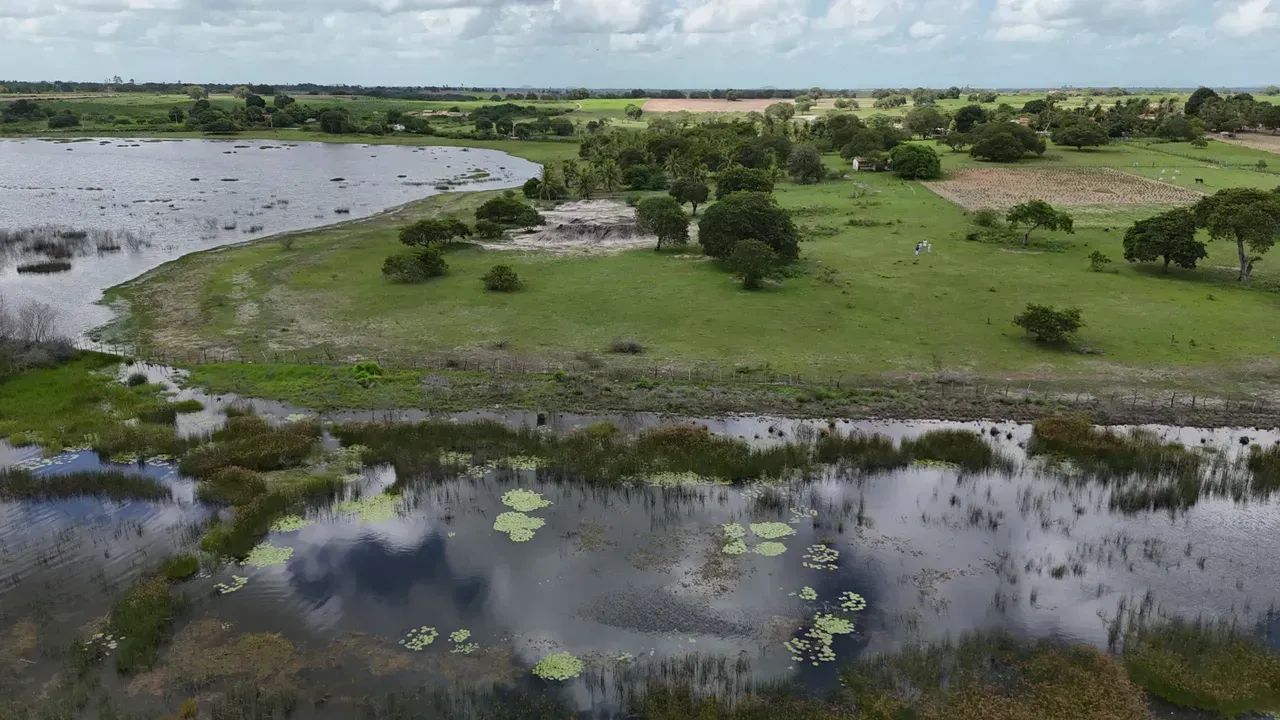 fazenda com 19.9 hectares próximo a lagoa salgada um paraíso de área - Foto 4