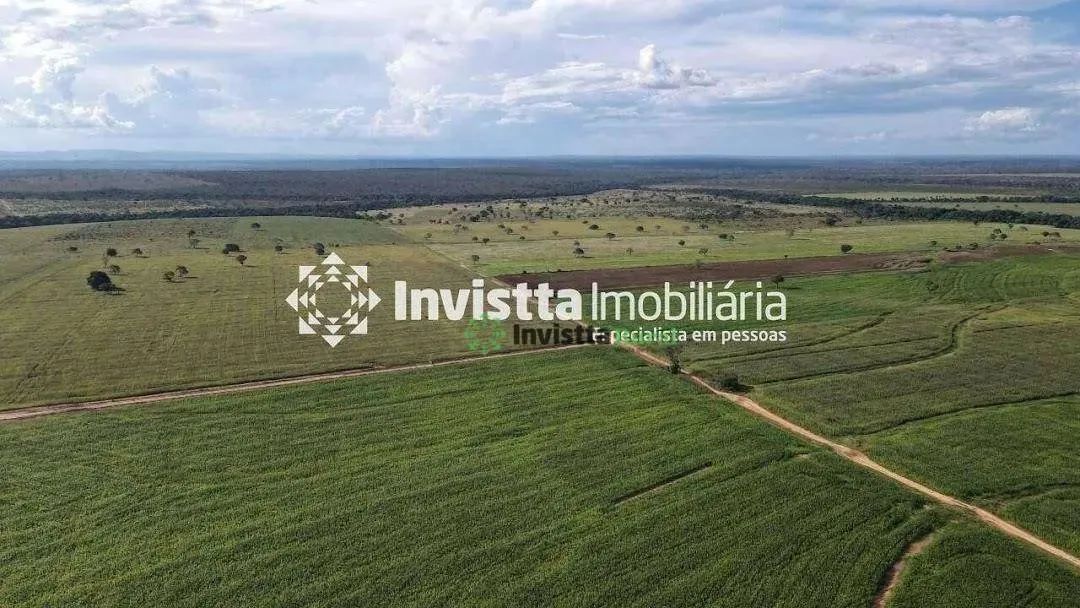 Fazenda de 447 alqueires com dupla aptidão em Palmeirante - Foto 4
