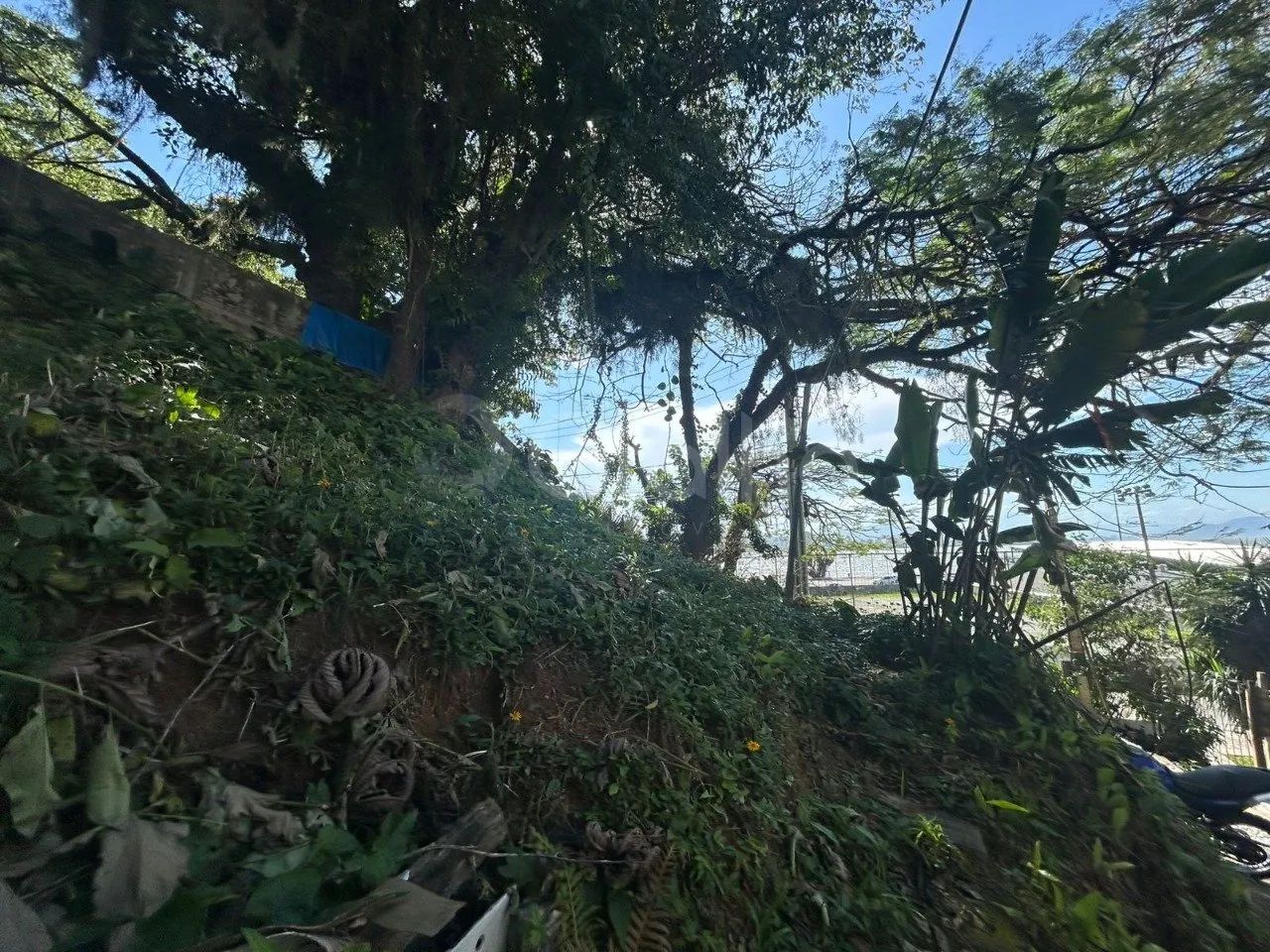Terreno de 487m² no Centro - Foto 4