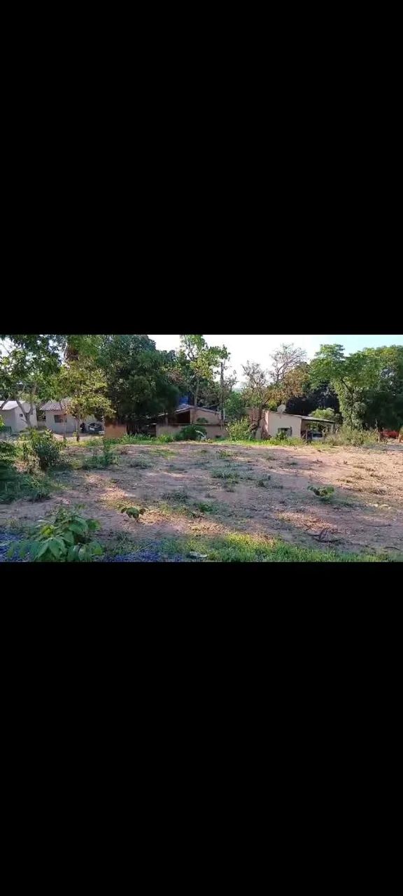 Terreno prox da Avenida Antártica  - Foto 3