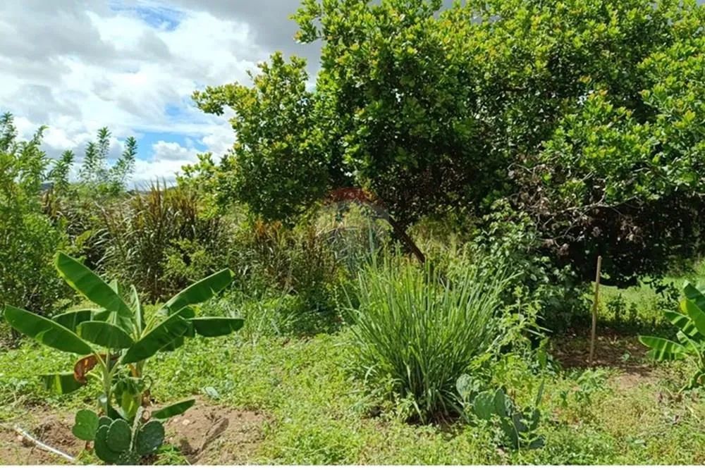 Excelente Casa de Campo à venda - Foto 5