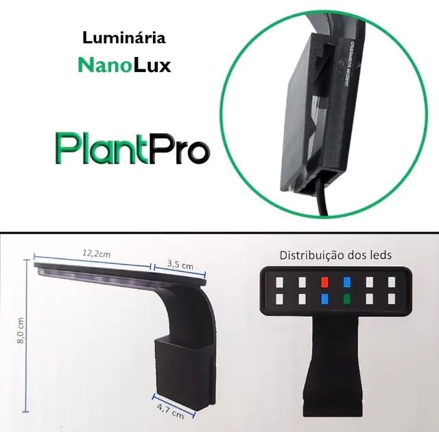 Iluminaria  - Foto 2